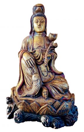 New Product Picture 18